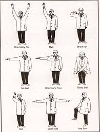 Week 4 Umpire Signals