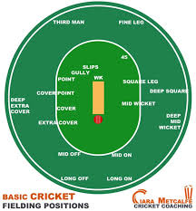 Week 4 Fielding Positions